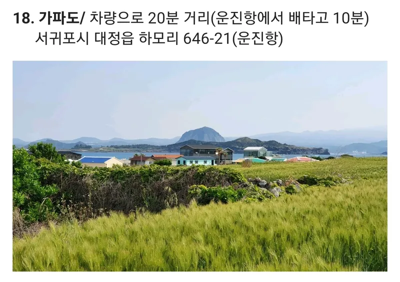 [제주 한경] 제주 힐링하우스 독채펜션(숙박과 차량을 한번에) 37