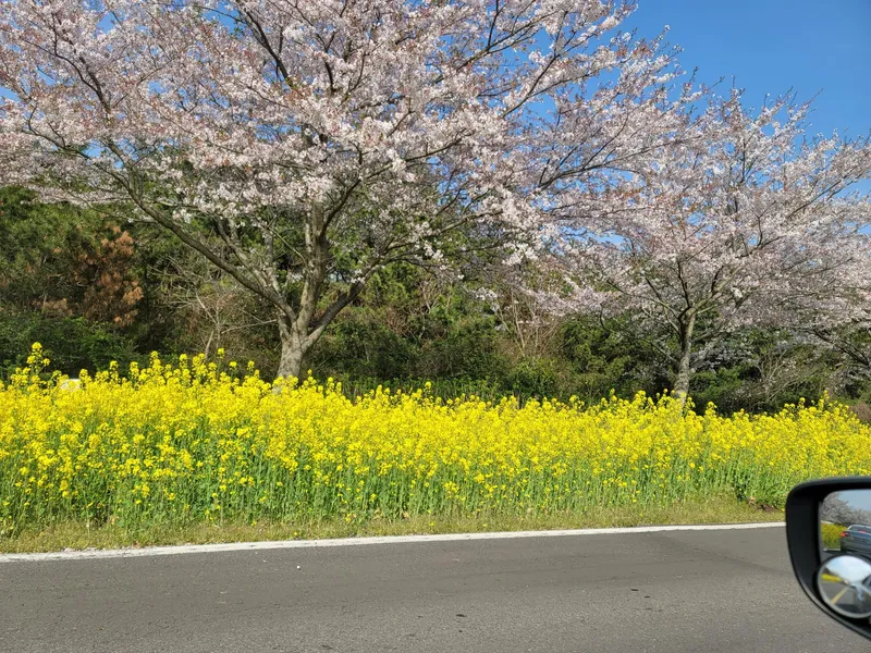 [제주 오라일동] 안돌- 신축투룸 풀옵션 - 쾌적하고 깔끔한숙소(제주공항2km) 40
