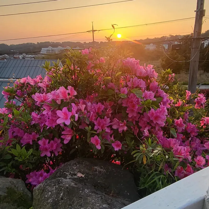 [Aewol, Jeju] Healing accommodation with sunrise and jacuzzi #Newly built accommodation Dalset 44