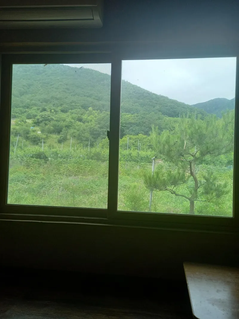 [Yeongcheon] 8-pyeong tile-roofed one-room apartment 6
