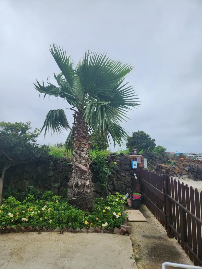 [Aewol, Jeju] Independent accommodation with a large garden and swimming pool overlooking the Gwakji Sea 83