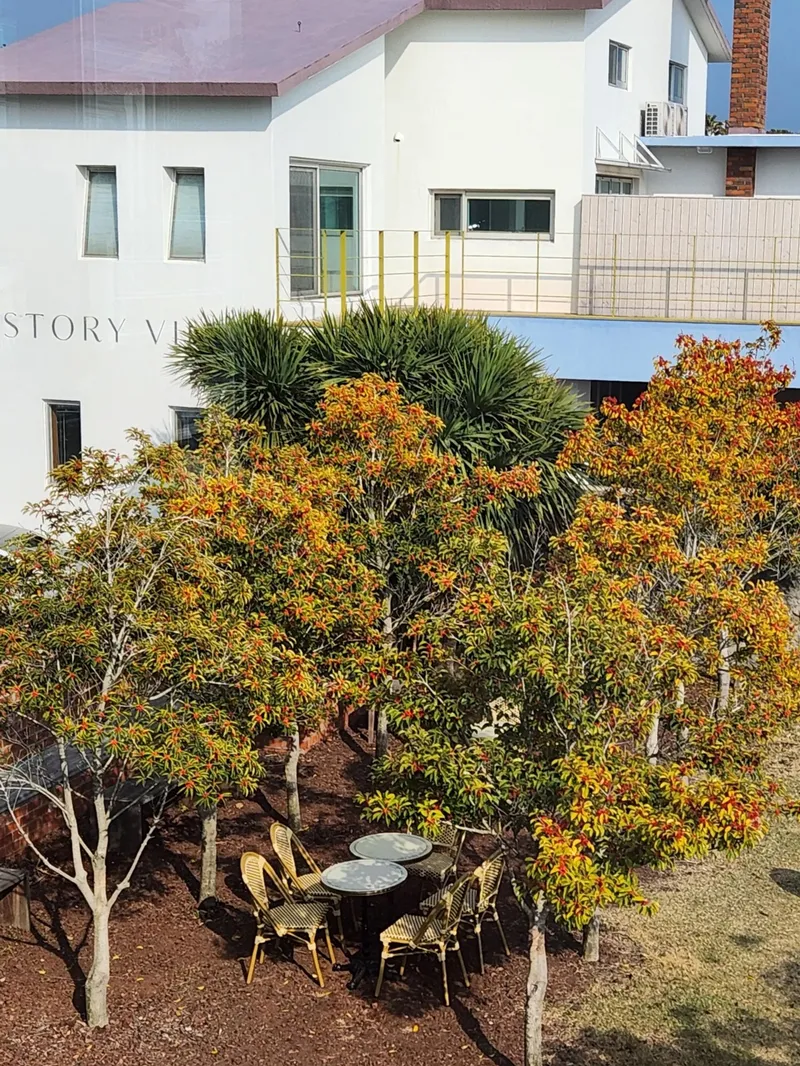 [Hogeun-dong, Seogwipo] New special price Ocean view two-room 3-story independent pension pool villa swimming pool Olle-gil A 22