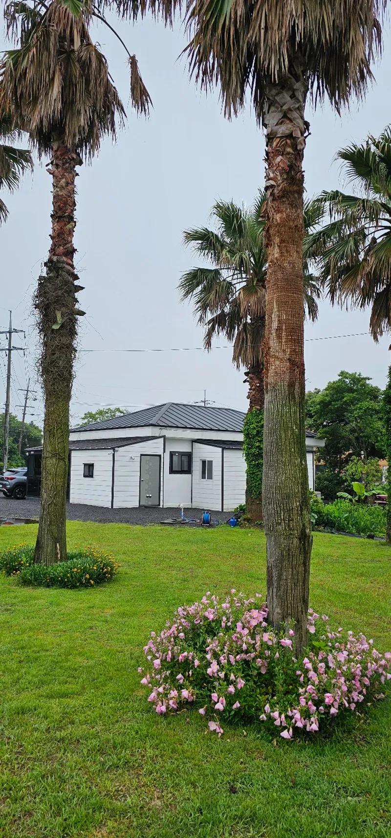 [Seongsan, Seogwipo] Two-room detached house with a large yard full of palm trees #BBQ 30
