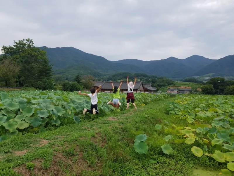[Namwon] Jirisan Baemsagol Valley 10 minutes walk. Newly built duplex one-room (2) 64