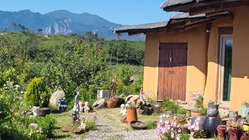 [Goseong] Hwangtojip Bongpo Beach nearby country house pet-friendly house 50 pyeong/yard# 25