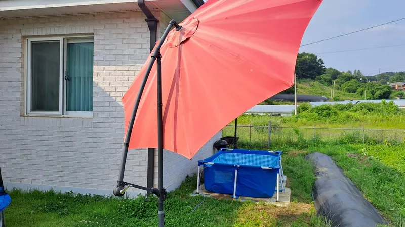 [Yangpyeong] A 33-pyeong, three-room, independent house in a quiet rural village with good air 5
