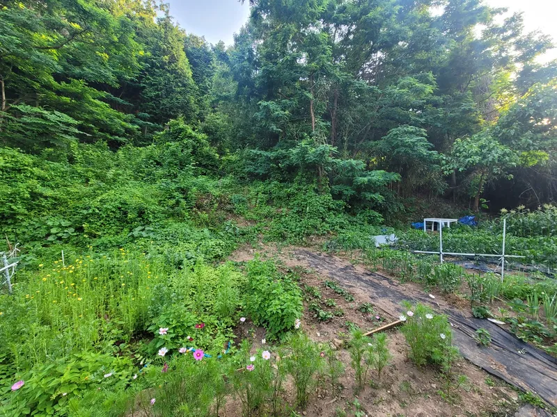 [Namhae] Super cost-effective ocean view ondol G #small dogs allowed 9