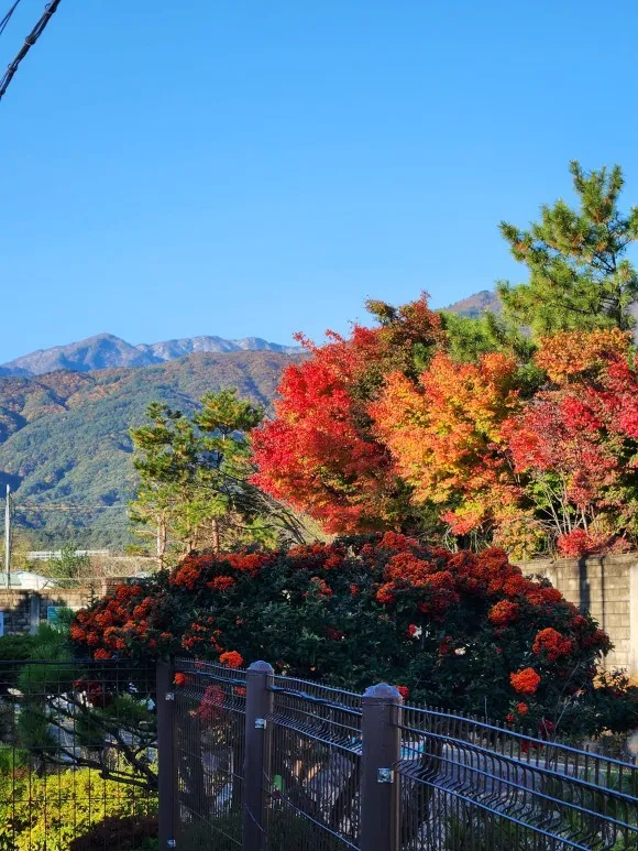 [Yangyang] 2-person room assigned to a pet-friendly pension near Mulchi Port 5