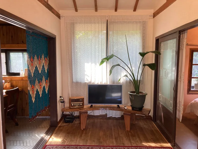 [Seoho-dong, Seogwipo] Living in a Jeju stone wall house like a real Jeju person 5