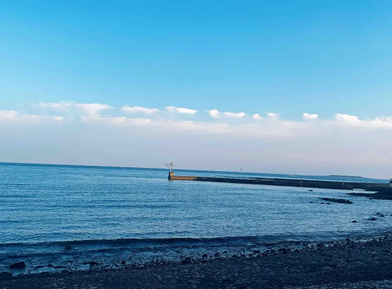 [Hahyo-dong, Seogwipo] Today's romantic Jeju seaside village small house 64