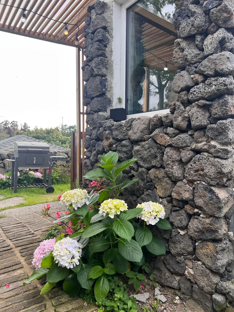 [Aewol, Jeju] Half-price discount event for full moon #Jeju emotional accommodation #Ghibli emotional #Moon 63