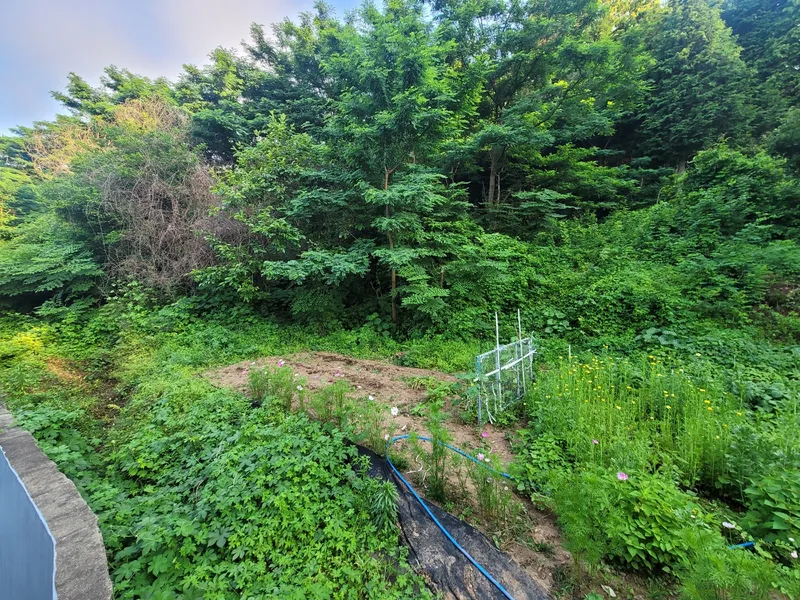 [Namhae] Super cost-effective ocean view ondol G #small dogs allowed 10