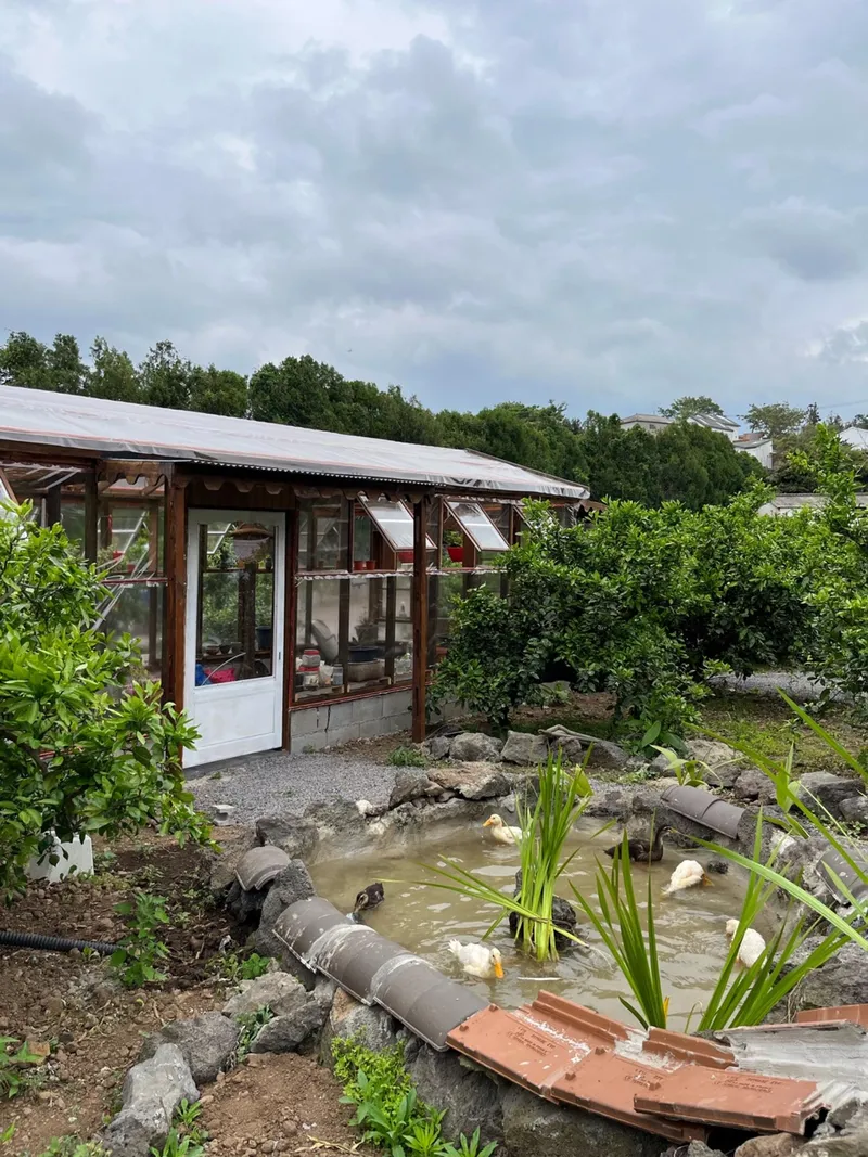 [Aewol, Jeju] Full Moon Sale Half Price Event #Jeju Emotional Accommodation #Healing Experience Accommodation #Star 42
