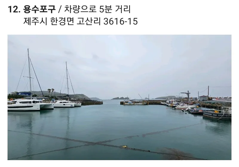 [제주 한경] 제주 힐링하우스 독채펜션(숙박과 차량을 한번에) 33