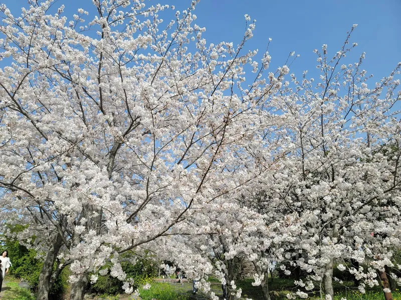 [제주 오라일동] 안돌- 신축투룸 풀옵션 - 쾌적하고 깔끔한숙소(제주공항2km) 39