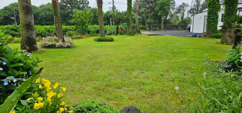 [Seongsan, Seogwipo] Two-room detached house with a large yard full of palm trees #BBQ 37