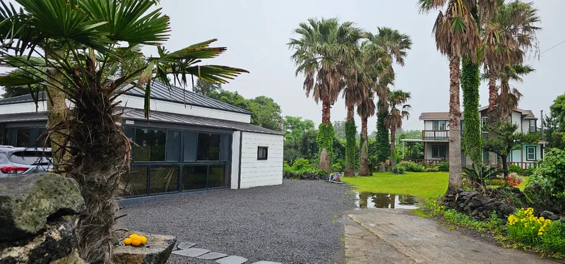[Seongsan, Seogwipo] Two-room detached house with a large yard full of palm trees #BBQ 29