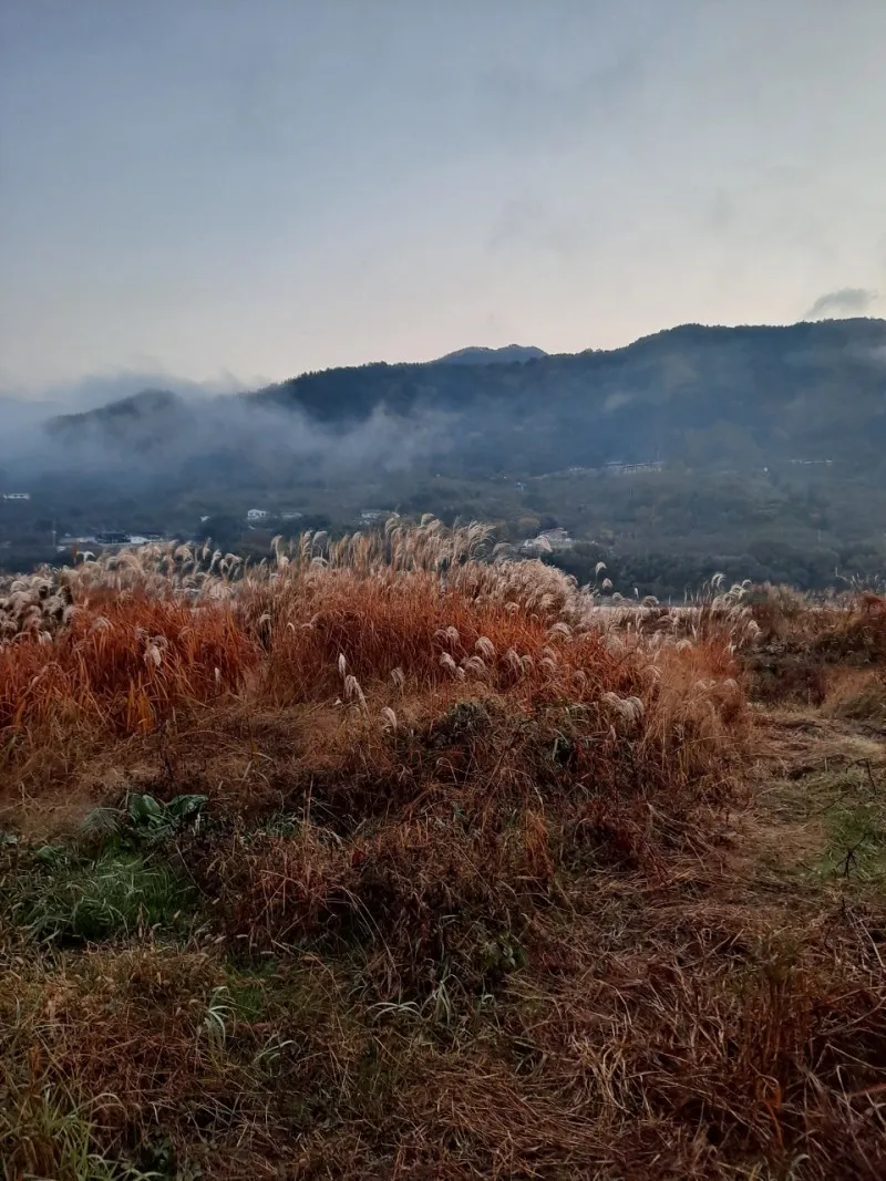 [Gwangyang][Hadong & Gurye Trip] Plum Blossom Village/Relaxing Hadong♡Country House on the Hill #Seomjin River View 22