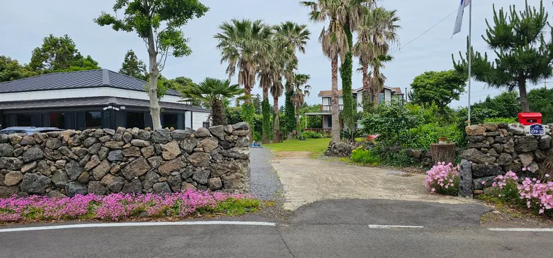 [Seongsan, Seogwipo] Two-room detached house with a large yard full of palm trees #BBQ 24