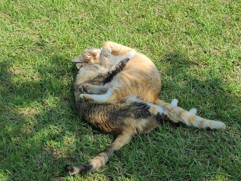 [충북 영동] 대전과영동사이  #아늑한감성숙소#넓은마당#시골집#있는그대로 23