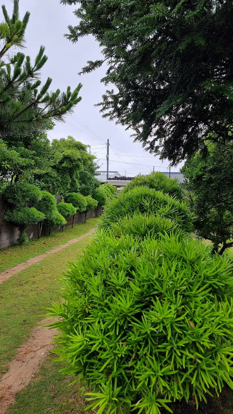 [제주 구좌] 세화해수욕장 인근 한적한 마을 숙소 5