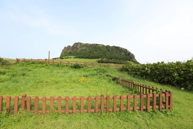 [서귀포 성산] 성산읍 성산일출봉이 보이는 원룸 8