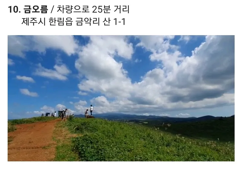 [제주 한경] 제주 힐링하우스 독채펜션(숙박과 차량을 한번에) 31