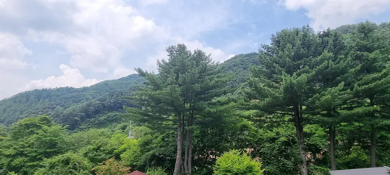 [경기 양평][경기 양평/옥천]마당 바로 앞 청정 어비계곡을 품은 독채 프라이빗하우스 19