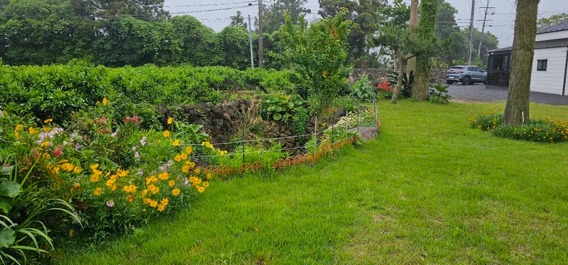 [Seongsan, Seogwipo] Two-room detached house with a large yard full of palm trees #BBQ 49