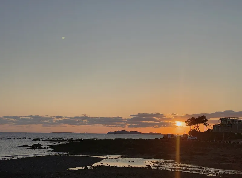 [Hahyo-dong, Seogwipo] Today's romantic Jeju seaside village small house 67