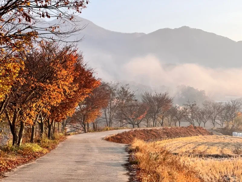 [Namwon] Jirisan Baemsagol Valley 10 minutes walk. Newly built duplex one-room (2) 67