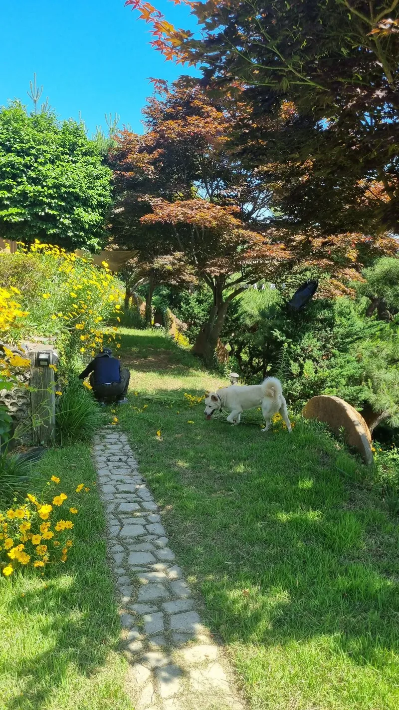 [충남 서산] 반려견과 시골라이프를 즐길 수 있는 황토독채 (원룸) #대형견가능 49