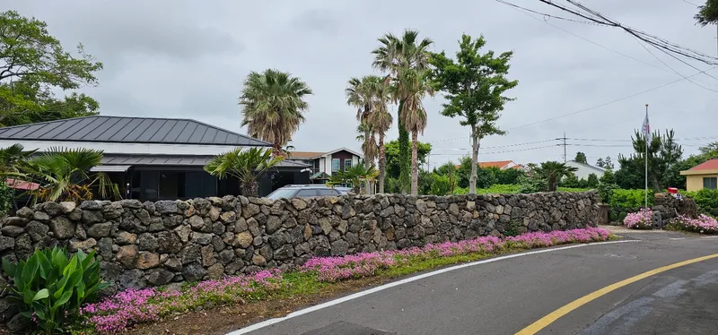 [Seongsan, Seogwipo] Two-room detached house with a large yard full of palm trees #BBQ 25
