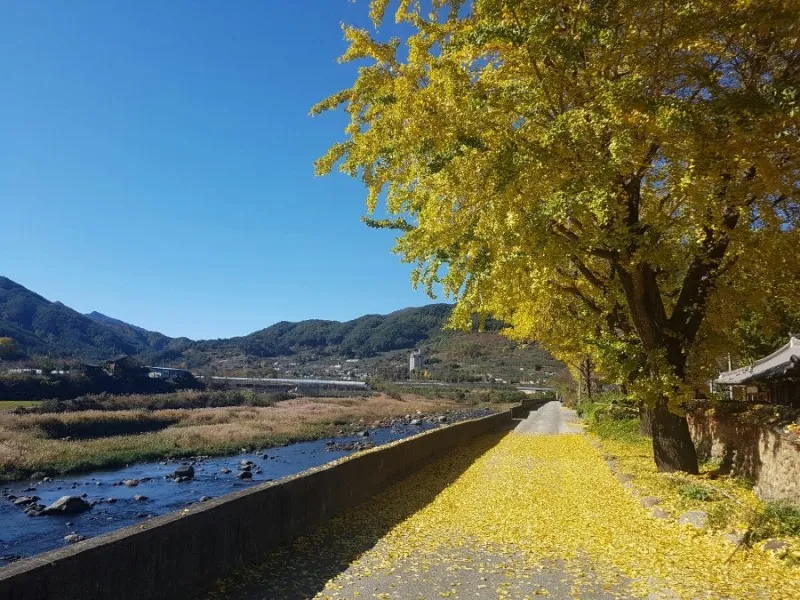 [Namwon] Jirisan Baemsagol Valley 10 minutes walk. Newly built duplex one-room (2) 66