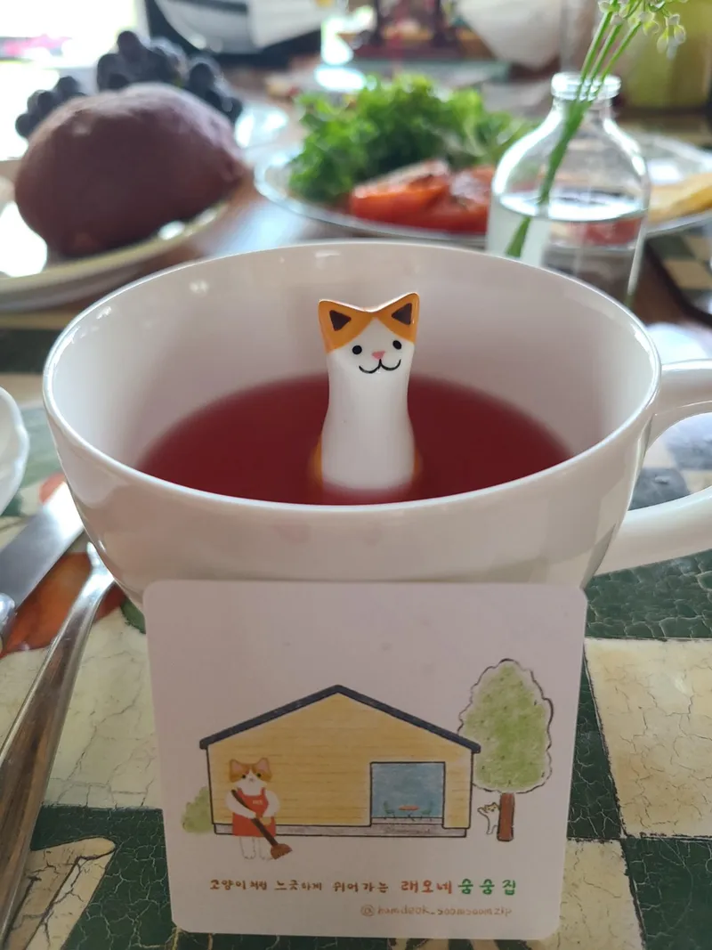 [제주 조천][제주 함덕] 고양이처럼 느긋하게 쉬어가는 독채 한달살기 24