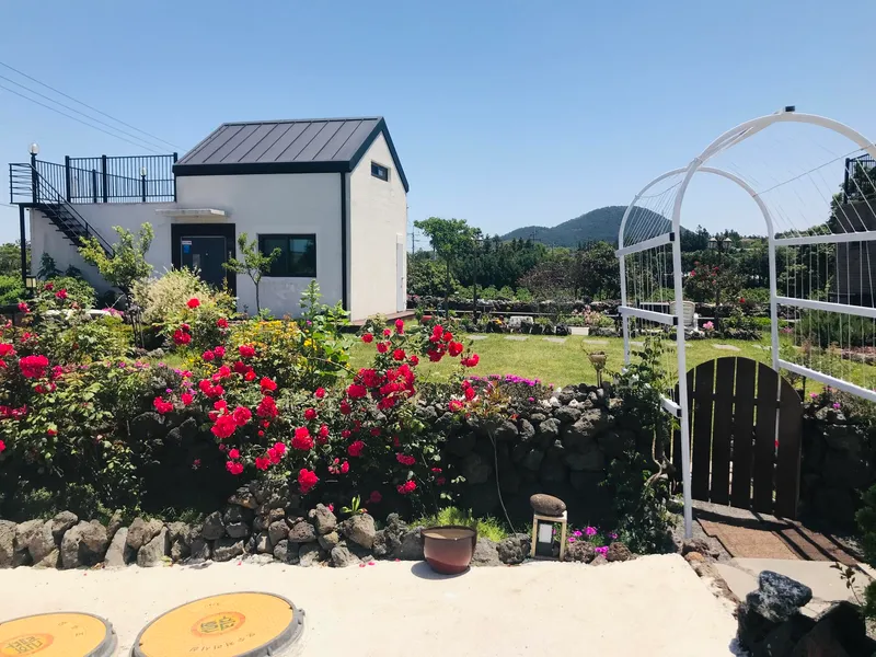 [제주 조천] 동쪽 돌담 독채/야외 자쿠지 무료/바베큐 불멍/넓은 잔디밭 3