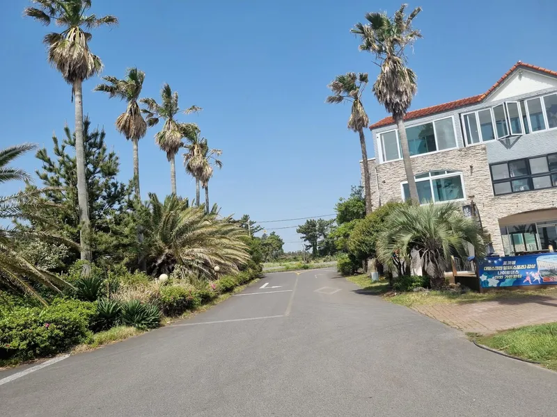 [Seongsan, Seogwipo] Accommodation 2 minutes from the ocean with an ocean view terrace #Terrace ocean view 10