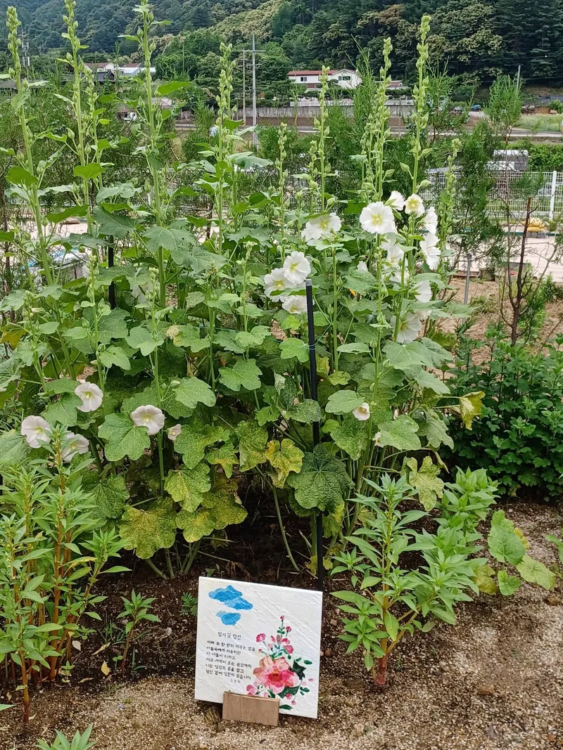 [경기 가평] 분리형원룸 주택 15