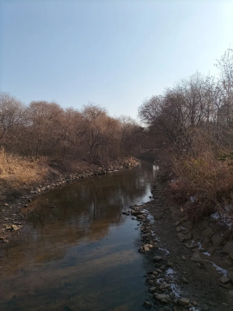 [서울 서초][강남]압도적 위치!역3분 큰창문 개인욕실 14 13