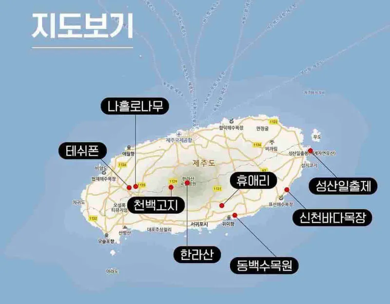 [Hahyo-dong, Seogwipo] Today's romantic Jeju seaside village small house 74