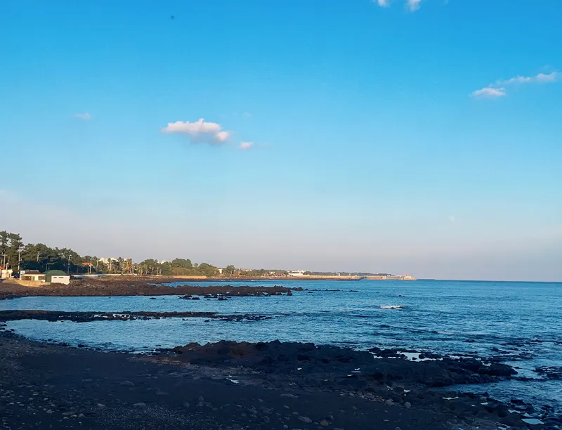 [Hahyo-dong, Seogwipo] Today's romantic Jeju seaside village small house 63