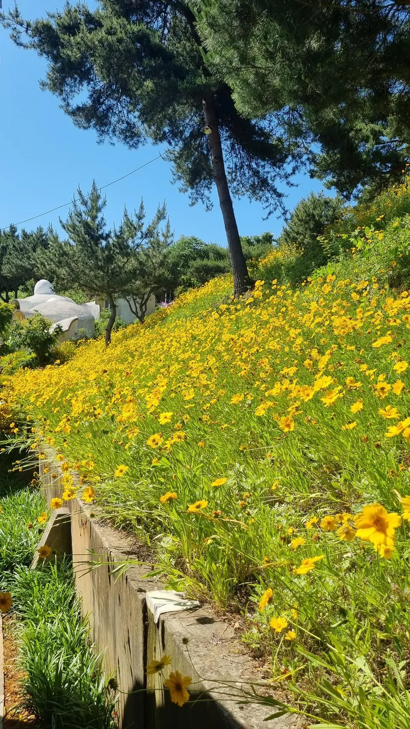 [충남 서산] 반려견과 시골라이프를 즐길 수 있는 황토독채 (원룸) #대형견가능 47