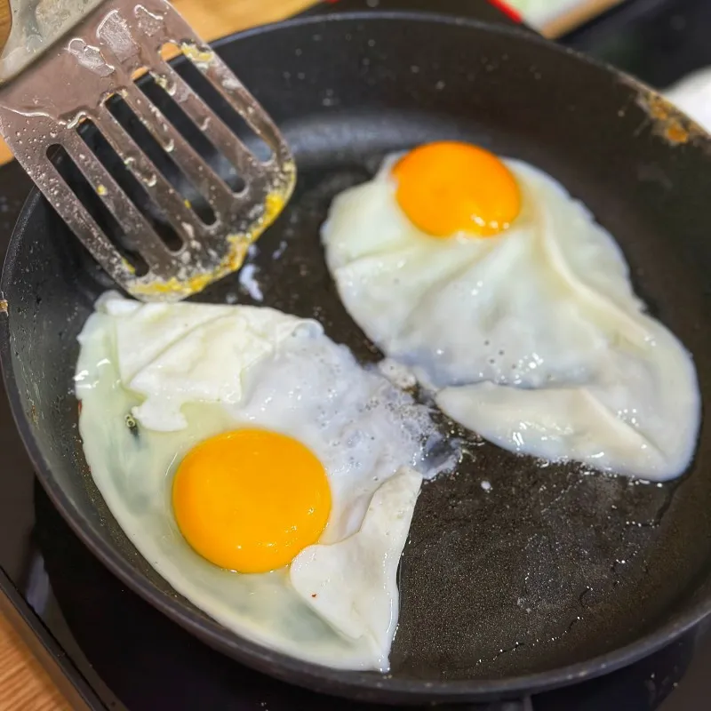 [경남 통영] 24시간 무료레스토랑/통영/고성/거제여행 스탠다드3 31