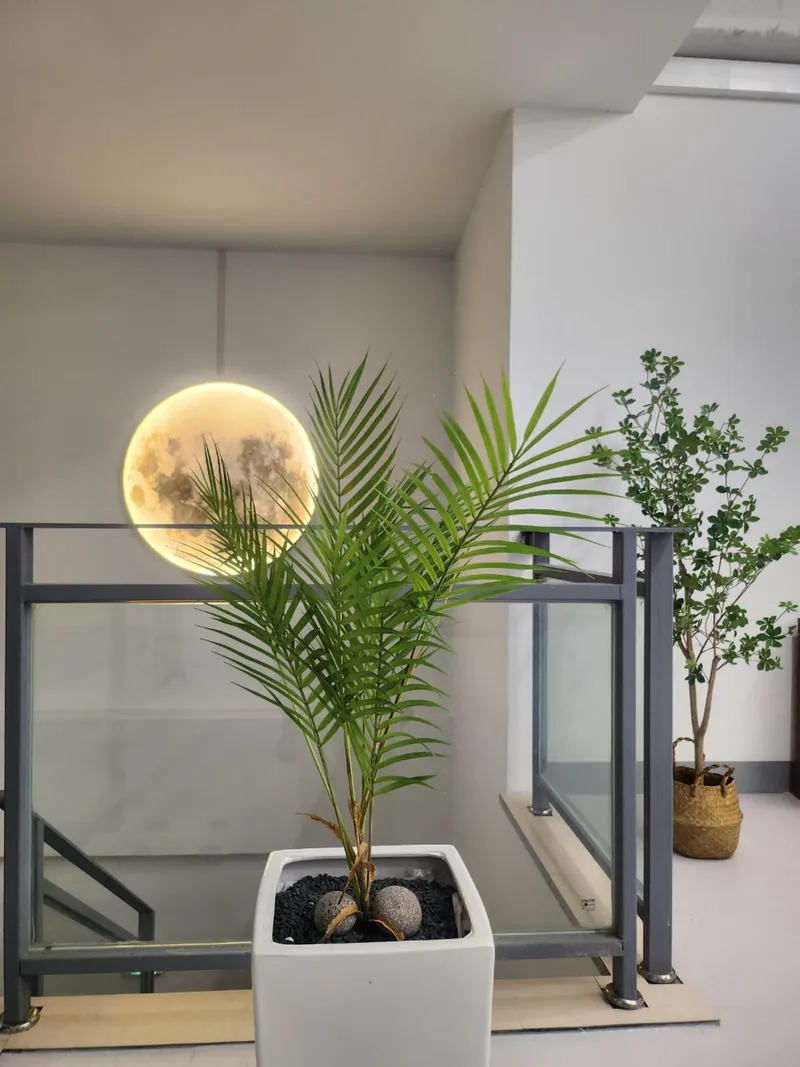 [Seogwi-dong, Seogwipo] Moonlight House (3 rooms, 2 bathrooms) 4