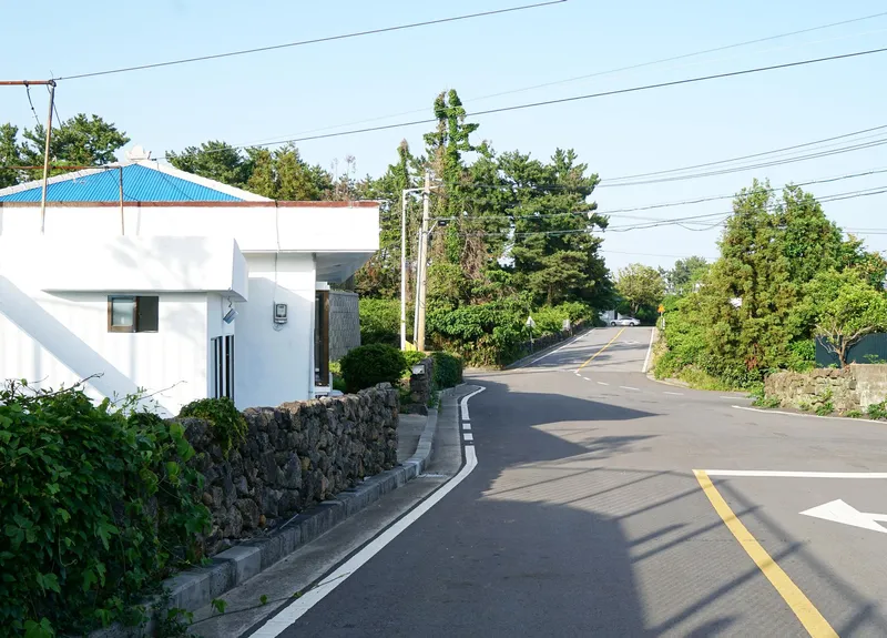 [서귀포 남원] 디자이너의 100평 돌담 구옥 독채 #코지 #힐링 #애견 73
