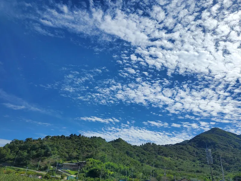 [Gwangyang][Hadong & Gurye Trip] Plum Blossom Village/Relaxing Hadong♡Country House on the Hill #Seomjin River View 24