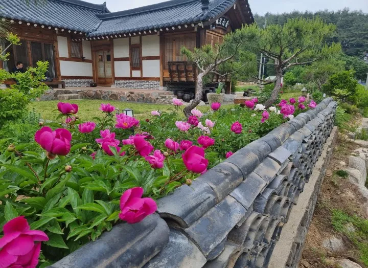 [강원 양양] 낙산사/낙산해변이 가까운 숲에 둘러싸인 한옥 독채 16
