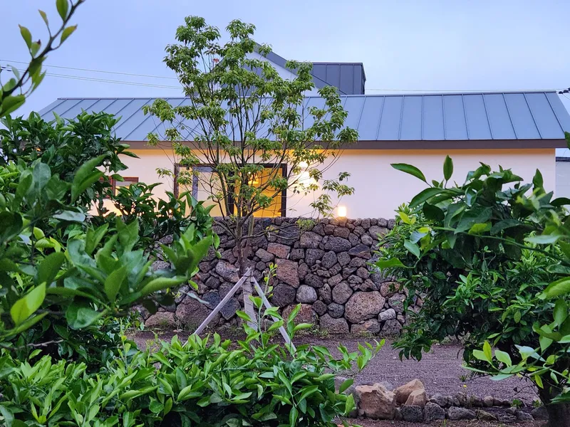 [Ara 1-dong, Jeju] Newly built, 1,000-pyeong (approximately 1,000 square meters) citrus orchard with a Jacuzzi #Near the airport 44