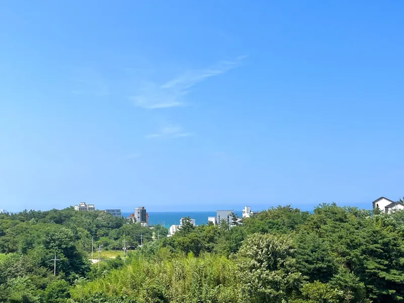 [Gangneung] Ocean view in a cozy space / Clean / 5 minutes walk from Sacheonjin Beach / Comfy Gangneung 2 26