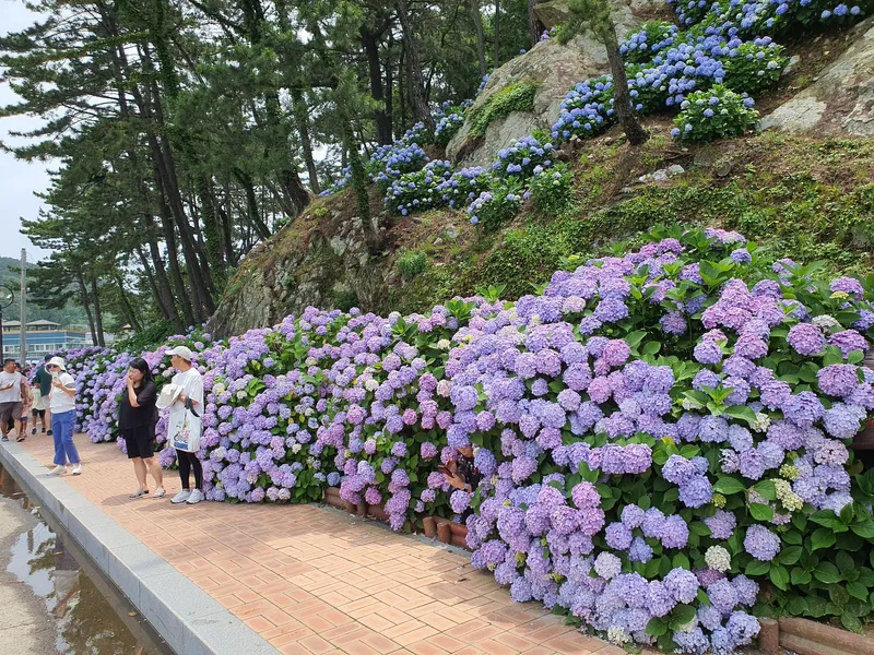 [Geoje] Super cost-effective two-room detached house #small dogs allowed 1 minute walk from Myeongsa Beach, fishing 29